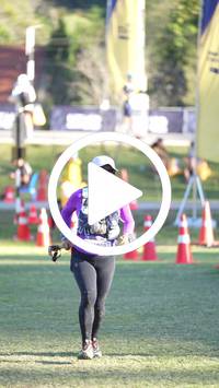 BIB:  <button type="button" onclick="openModal(26606291)" class="btn btn-primary btn-sm float-right" data-toggle="modal" data-target=".modal-high-quality">
                <i class="fa fa-download"></i> Download
                </button>